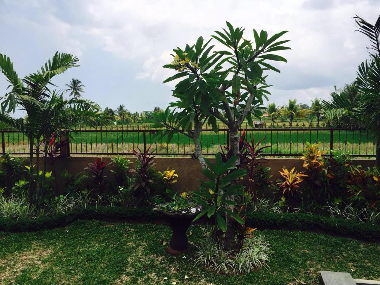 Villa Bali Green Ubud  Luaran gambar